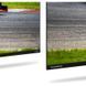 Телевізор Thomson Google TV 43" UHD (43QG7C14) [609284], фото 7