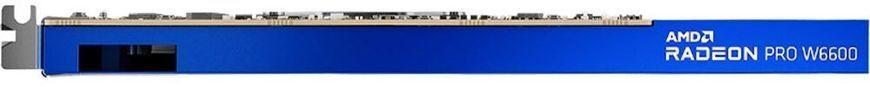 Відеокарта HP Radeon Pro W6600 8GB GDDR6 (340K5AA) [12512]