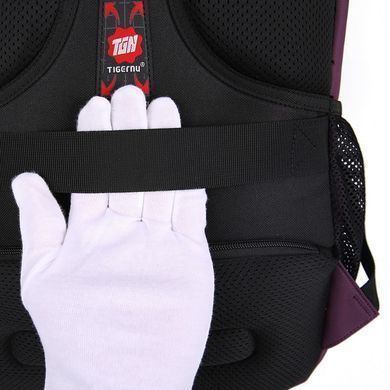 Рюкзак Tigernu T-B3032C 15.6" Purple (T-B3032CP) [800109]