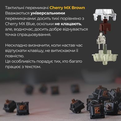 Клавіатура Ducky One 3 Cherry MX Brown UA USB Matcha Cream (DKON2108-BUAPXМAEGGC1) [614125]