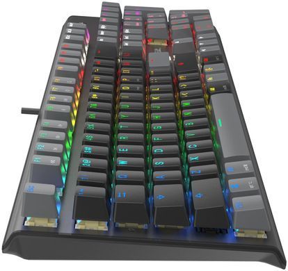 Клавіатура A4Tech Fstyler FS100 Stone Black (FS100 (Stone Black)) [611304]