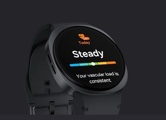 Смарт-годинник Samsung Galaxy Watch8 40mm Gray (SM-L320NDAASEK) [615033]