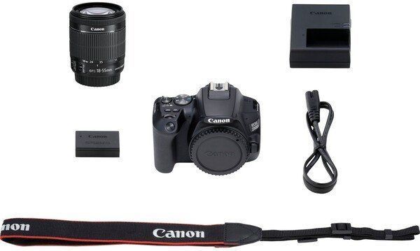 Цифр. фотокамера дзеркальна Canon EOS 250D kit 18-55 IS STM Black (3454C007) [107540]