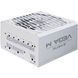 БЖ 750W Chieftec VEGA M ATX 3.1 135mm, 80+ Gold, Fully modular, WHITE, Retail (PPG-750-CW) [403910], фото 1