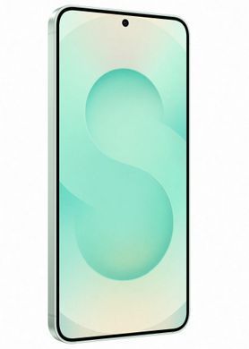 Смартфон Samsung Galaxy S25 12/256GB Mint (SM-S931BLGGEUC) [600196]