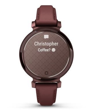 Смарт-годинник Garmin Lily 2 Dark Bronze with Mulberry Leather Band (010-02839-61) [619257]