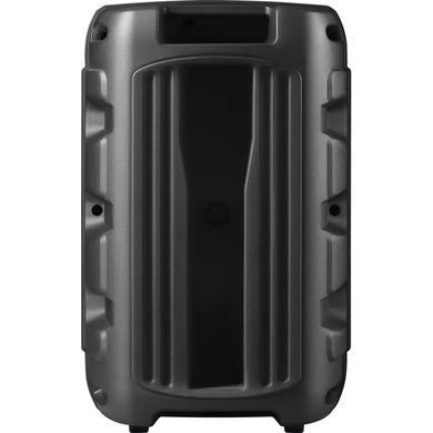 Акустична система 1.0 Boomer 12, 15Вт, Bluetooth/FM/USB/LED/AUX чорна (65412) [405138]