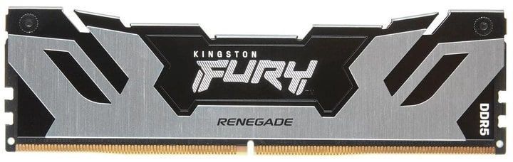 Пам'ять ПК Kingston DDR5 32GB 6400 FURY Renegade XMP Срібний (KF564C32RS-32) [13876]