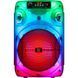 Акустична система 1.0 Boomer 12, 15Вт, Bluetooth/FM/USB/LED/AUX чорна (65412) [405138], фото 8