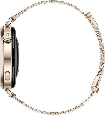 Смарт-годинник Huawei Watch GT 6 41mm Gold with Gold Milanese Strap (55020FTP) [621097]