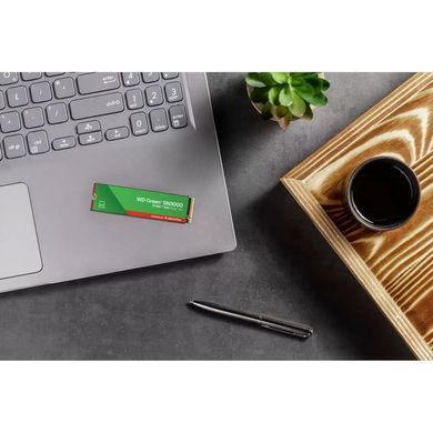 SSD диск WESTERN DIGITAL (WDS500G4G0E) [305720]