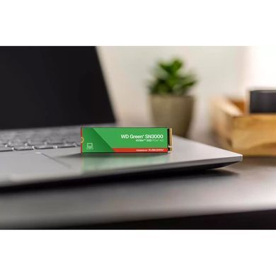 SSD диск WESTERN DIGITAL (WDS500G4G0E) [305720]