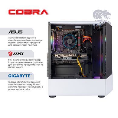 Персональний комп`ютер COBRA Advanced (I124F.32.S5.55.25172) [614911]