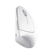 Комп'ютерна миша TRUST Verto Ergonomic W Mouse White (25132) [304195], фото 1