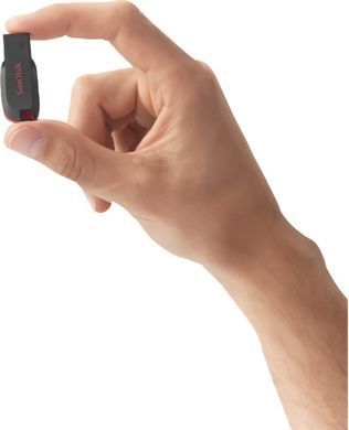 Накопичувач SanDisk 32GB USB 2.0 Type-A Cruzer Blade Чорний (SDCZ50-032G-B35) [108958]