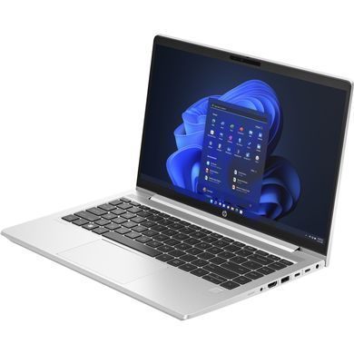 Ноутбук HP ProBook 440 G10 (8D4U6ES) [714659]