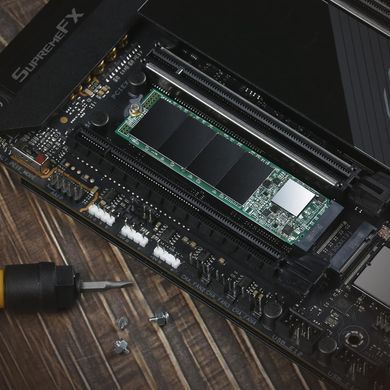Накопичувач SSD Transcend M.2 250GB PCIe 3.0 MTE115S (TS250GMTE115S) [115058]