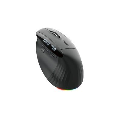 Mиша USB OPTICAL WRL VERTICAL SMART FIT ACER (HP.EXPBG.020) [504081]