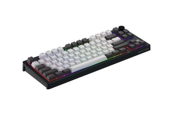 Клавіатура бездротова Hator Skyfall 80 Pro Wireless Grey/Black (HTK4180UA) [614912]
