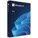 MICROSOFT Win Pro 11 64-bit Ukr USB (HAV-00195) [305695], фото 1