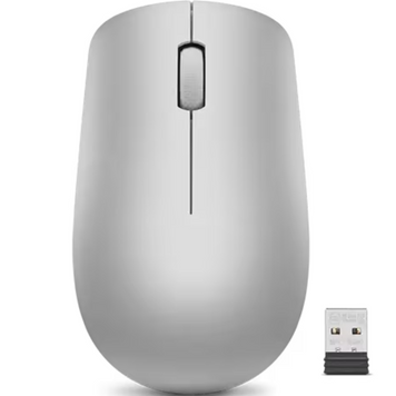 Комп'ютерна миша LENOVO 530 Wireless Platinum Grey (GY50Z18984) [301586]