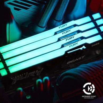 Пам'ять ПК Kingston DDR5 16GB 5600 FURY Beast RGB (KF556C36BBEA-16) [103826]
