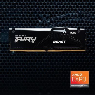 Пам'ять ПК Kingston DDR5 16GB 5600 FURY Beast RGB (KF556C36BBEA-16) [103826]