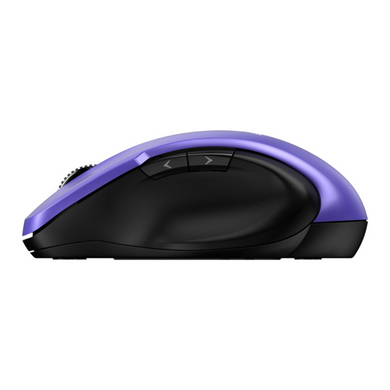 Комп'ютерна миша GENIUS Ergo 8200S (31030029402) [301551]