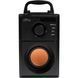 Акустична система 1.0 Media-Tech 15W, Bluetooth/FM/AUX/SD/USB/пульт/BOOMBOX, помар. мембрана, чор (MT3145_V2) [405180], фото 1