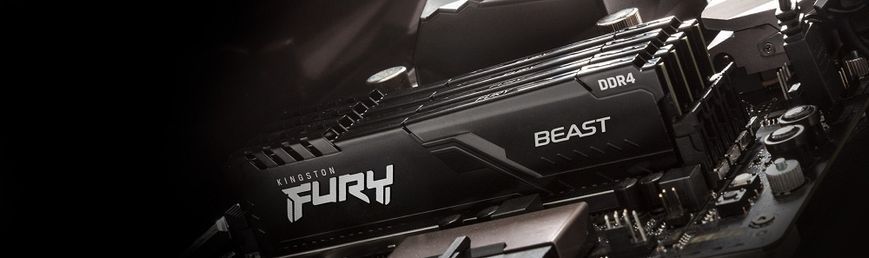 Пам'ять ПК Kingston DDR4 16GB KIT (8GBx2) 3600 FURY Beast (KF436C17BBK2/16) [103773]