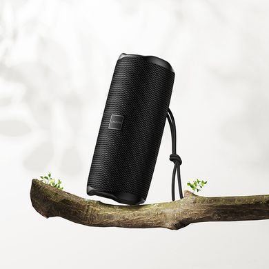 Портативна колонка BOROFONE BR100 Joy sports BT speaker, 5W * 2, Black (6941991125614) [806182]