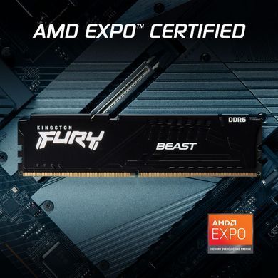 Пам'ять ПК Kingston DDR5 16GB 6000 FURY Beast EXPO (KF560C30BBE-16) [112184]