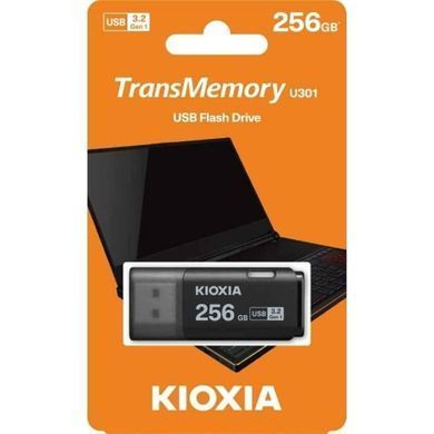 Флеш-пам'ять (накопичувач USB) USB3 256GB KIOXIA (LU301K256GG4) [501215]