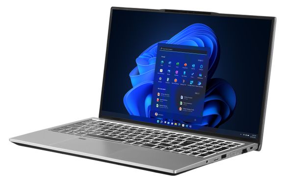 Ноутбук 2E Complex Pro 15.6" FHD IPS AG (NS51PU-15UA55)