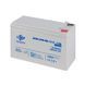 Акумулятор мультигелевий LPM-MG 12V - 7 Ah (LP6552) [900082], фото 5