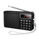 Портативне радіо HOCO HI50 Portable radio, 5W, Black (6942007664202) [807026], фото 1