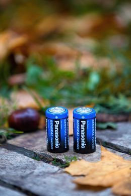Батарейка Panasonic GENERAL PURPOSE вугільно-цинкова D(R20) плівка, 2 шт. (R20BER/2P) [113370]