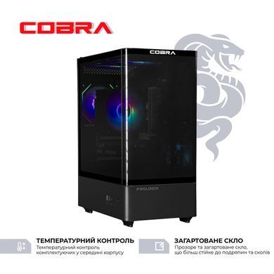 Персональний комп`ютер COBRA (A55.16.S5.35.23117) [620758]