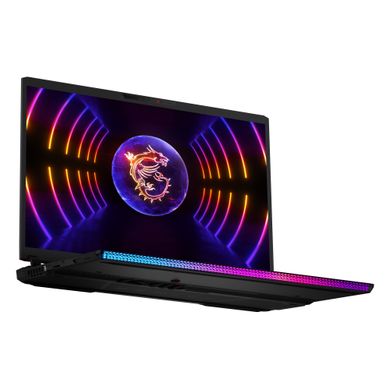 Ноутбук MSI Raider 17" QHD+ (RAIDER_GE78HX_13VI-207UA)