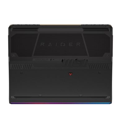 Ноутбук MSI Raider 17" QHD+ (RAIDER_GE78HX_13VI-207UA)