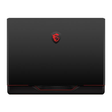 Ноутбук MSI Raider 17" QHD+ (RAIDER_GE78HX_13VI-207UA)