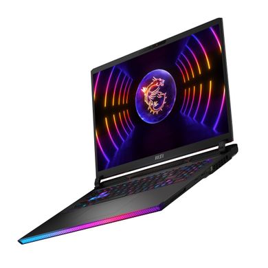 Ноутбук MSI Raider 17" QHD+ (RAIDER_GE78HX_13VI-207UA)