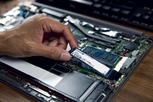 Накопичувач SSD 1TB M.2 NVMe Kingston NV3 M.2 2280 PCIe Gen4.0 x4 (SNV3S/1000G) [608528]