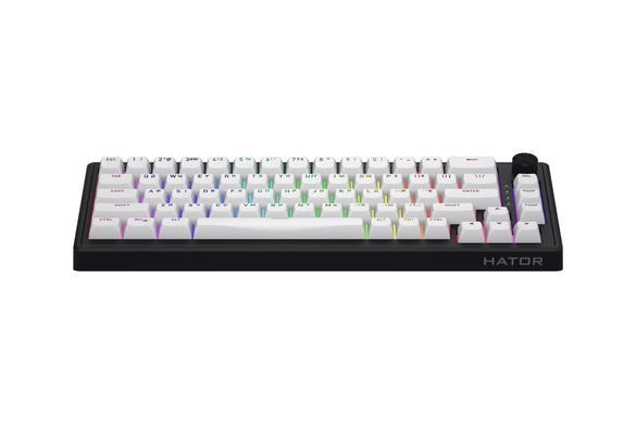 Клавіатура Hator Skyfall 65 MAG Ultra 8K Black/White (HTK1860UA) [617731]