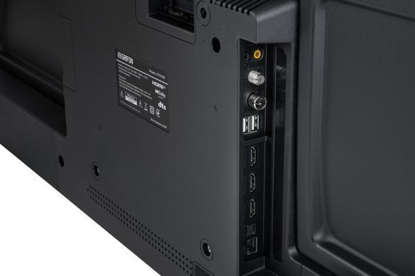 Телевізор Grifon Diva (DV55USB) [609202]