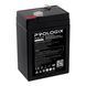 Акумуляторна батарея Prologix 6V 4,5AH AGM (PL6-4.5) [615346], фото 4