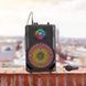 Портативна колонка HOCO BS46 Mature outdoor BT speaker, 10W, Black (6931474754080) [806317], фото 5