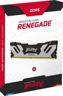 Пам'ять ПК Kingston DDR5 48GB 6400 FURY Renegade XMP Срібний (KF564C32RS-48) [13887]