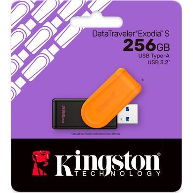 Флеш пам'ять KINGSTON (DTXS/256GB) [304423]