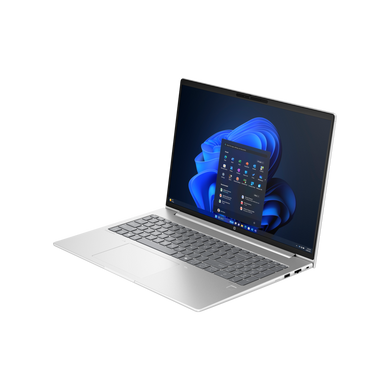 Ноутбук HP ProBook 460 G11 (8Z677AV_ITM1) [300371]